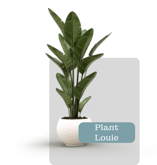 Plant Louie